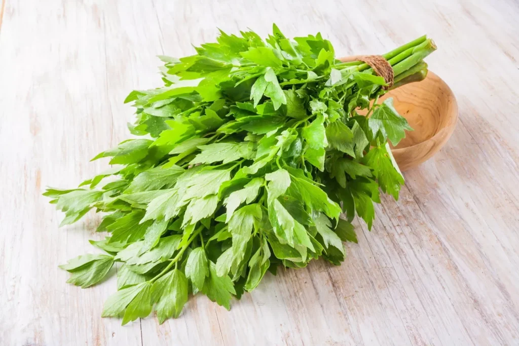 Nećete pronaći bolje začine mesa i juhu. Recept je jednostavan.