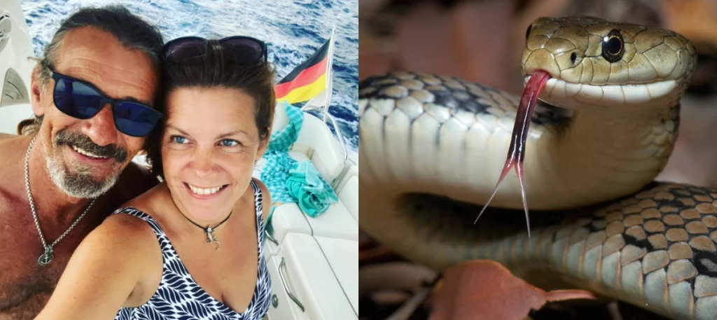 Turisti su otkrili 1,8 metara duga morskog crijeva koji lebde na kristalno čistim plažama Ibize: Otok je pogođen kugom