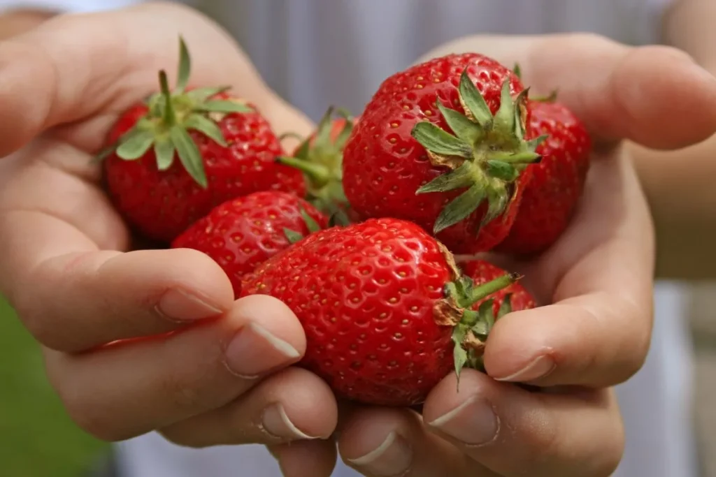 Stručnjaci upozoravaju kako oprati jagode kako bi spriječili pesticide.