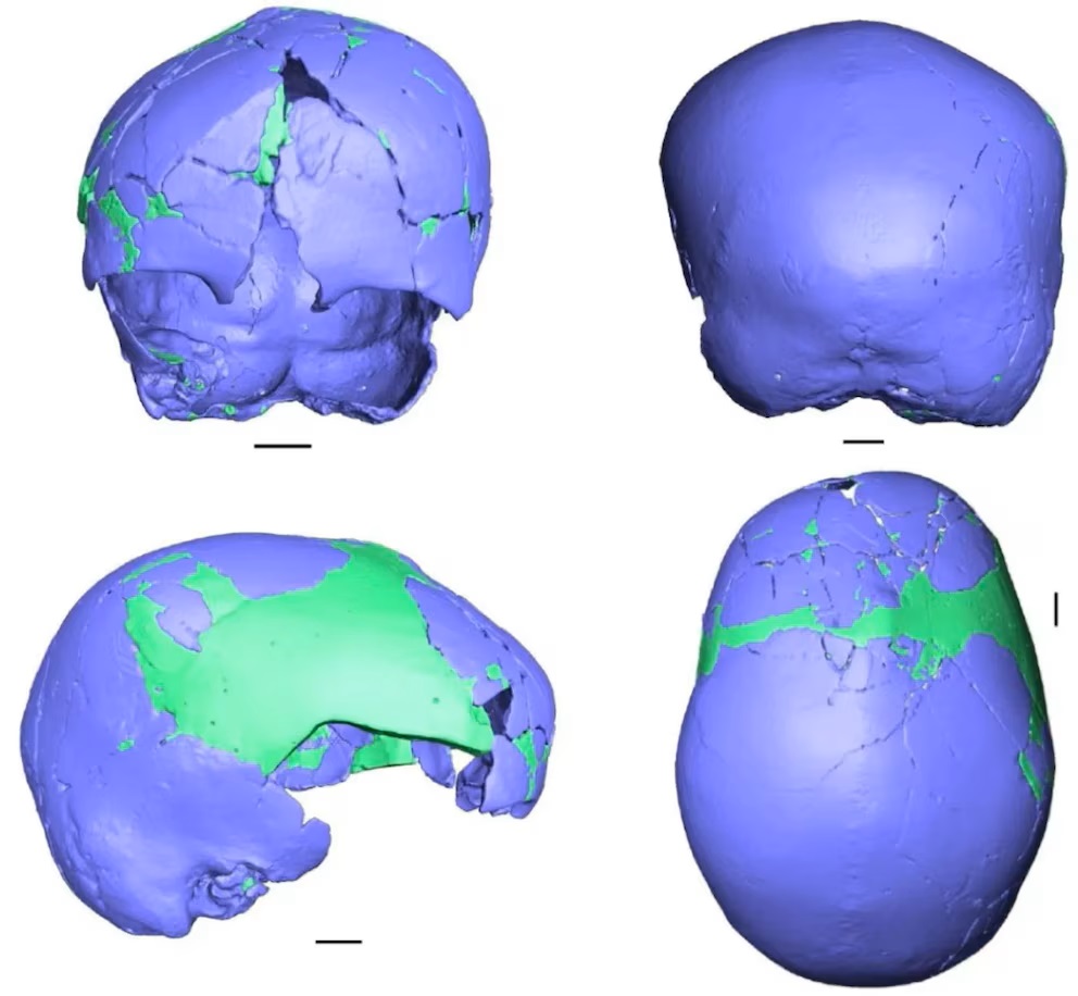 Drevna lubanja pronađena u Izraelu ponovno otvara tajne suživota Homo sapiensa i neandertalaca.