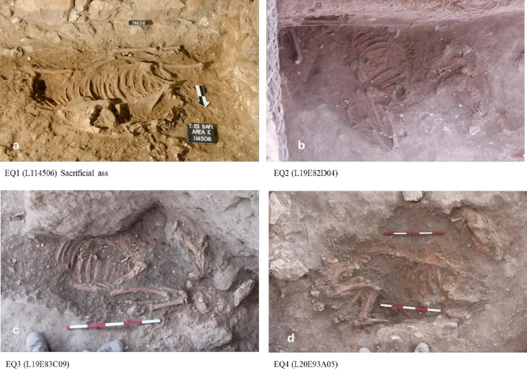 Archeologia su bili prisutni dječaci čudnog rituala. Blijed