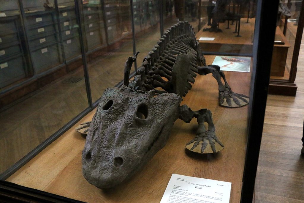 300 milijuna godina stari fosil govori znanstvenicima da postoji nešto slično dinosauru iz filma “Priča o igračkama”