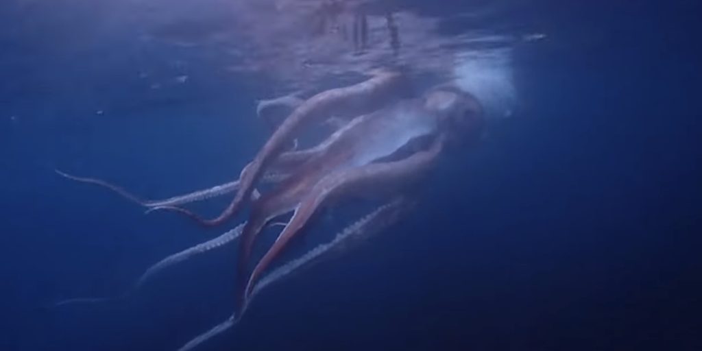 Mitsko biće izlazi iz dubine: prvi put je napravljeno na filmskom gigantskom morskom čudovištu.