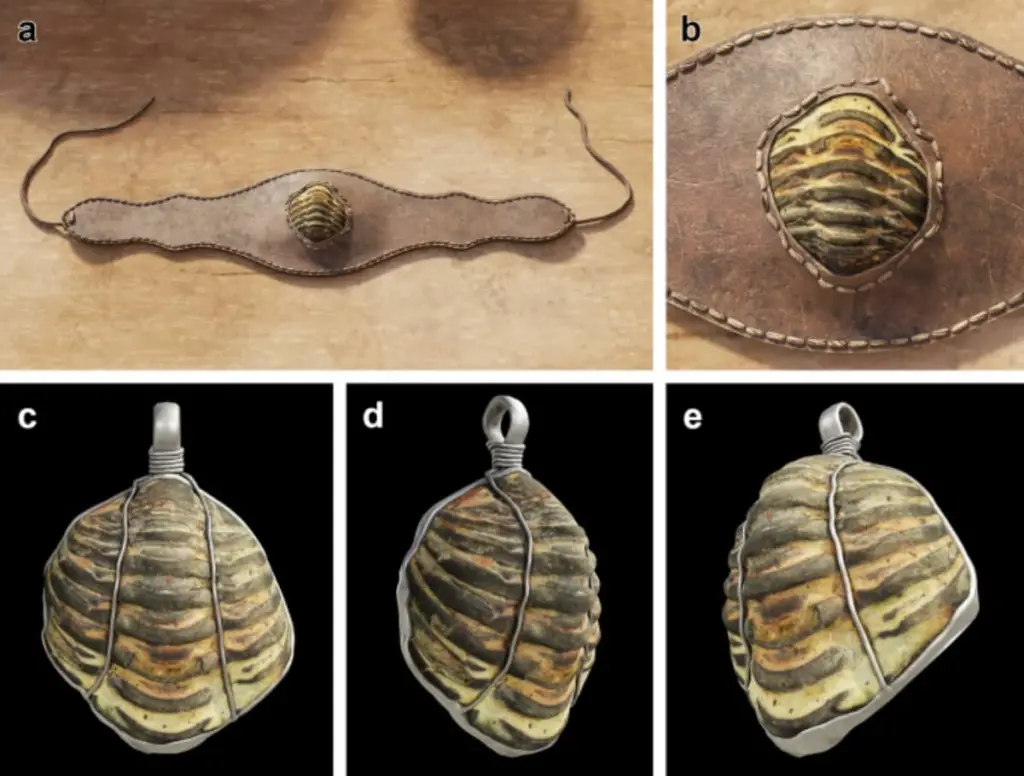 Arheologia je bila zastupljena 450 milijuna godina starog trilobita, koji je koristio amulet u Rínská Raíš: pronašao ga je u kopnenom otpadu u luksuznoj kupoli u Galviji