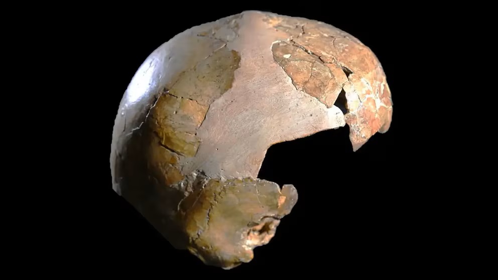Drevna lubanja pronađena u Izraelu ponovno otvara tajne suživota Homo sapiensa i neandertalaca.