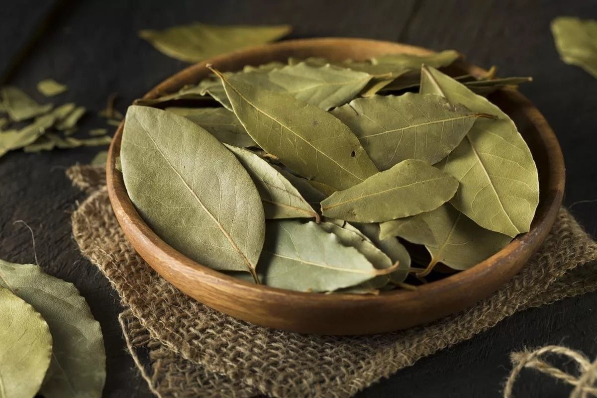Bay Leaf u Práceku: Trik koji koristi mnogo, a tu je i vojvoda