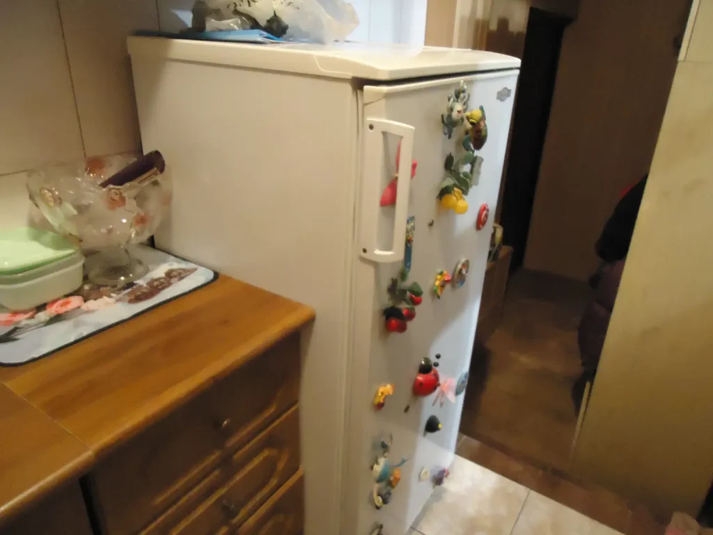 Hladnjak konzumira via -via električnu energiju: Slovaci su to koristili