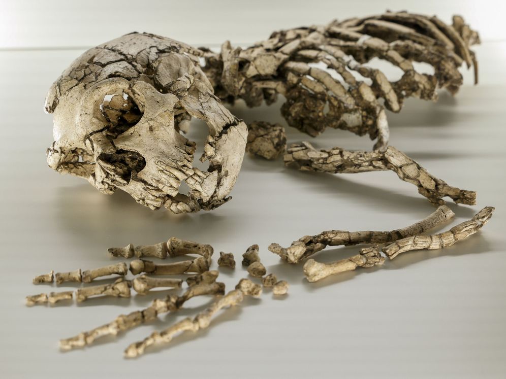 Jedna od teorija kaže da je uzrok izumiranja neandertalaca nešto iz svemira.