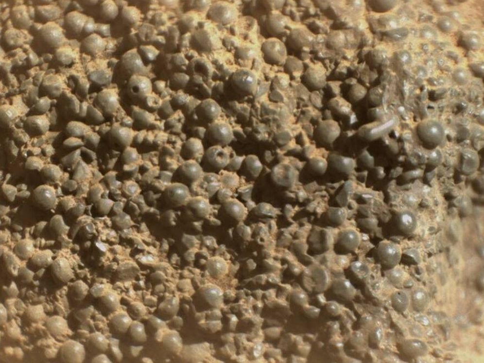 NASA je bila prisutna na Marse Stone prekrivena 