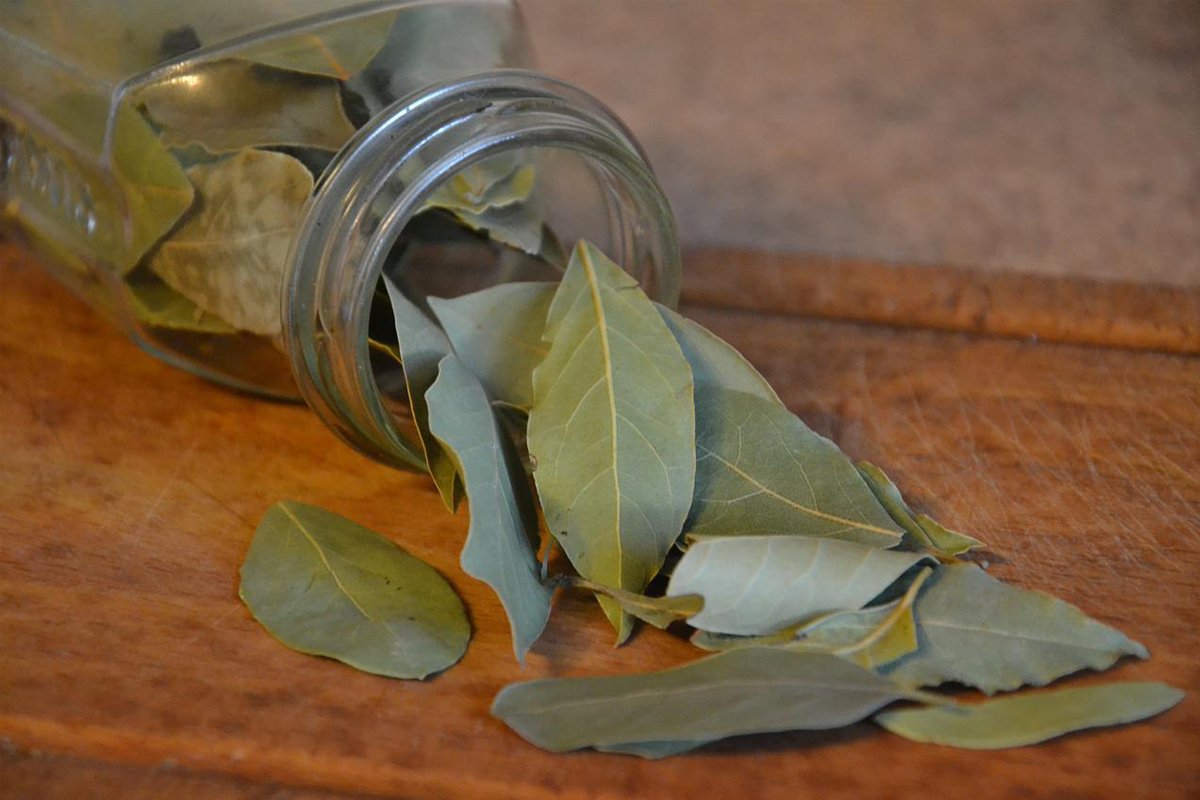 Bay Leaf u Práceku: Trik koji koristi mnogo, a tu je i vojvoda