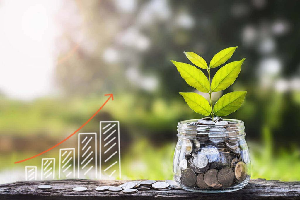 Jadeit Wood: Kako ga aktivirati s jednim sastojkom i probuditi njegovu moć da privuče obilje