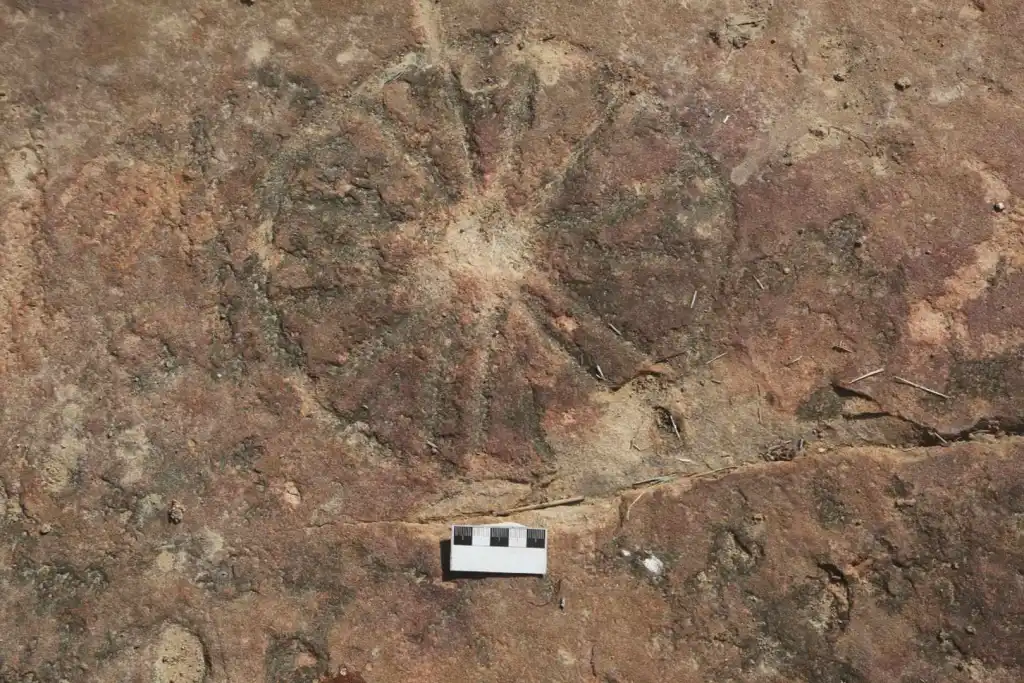 Otkriće koje je zadivljeno znanstvenici: Pored zaustavljanja dinosaura pronađeno je da stare kamene slike 9000 godina