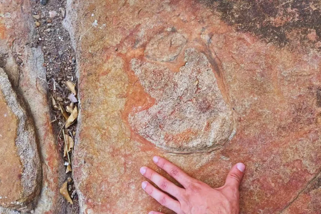 Otkriće koje je zadivljeno znanstvenici: Pored zaustavljanja dinosaura pronađeno je da stare kamene slike 9000 godina
