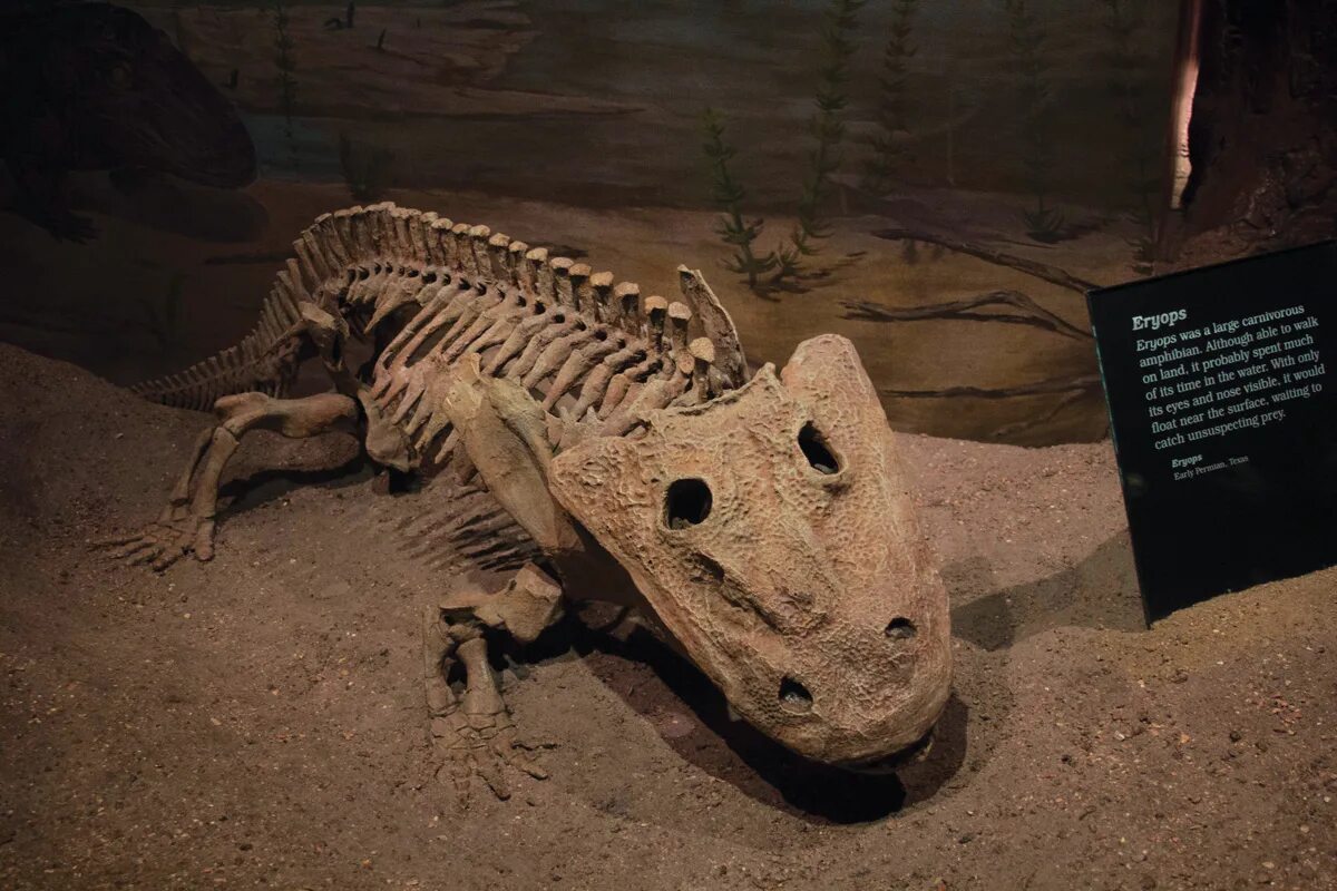 300 milijuna godina fosil kaže znanstvenicima da je nešto slično dinosaurusima iz filma