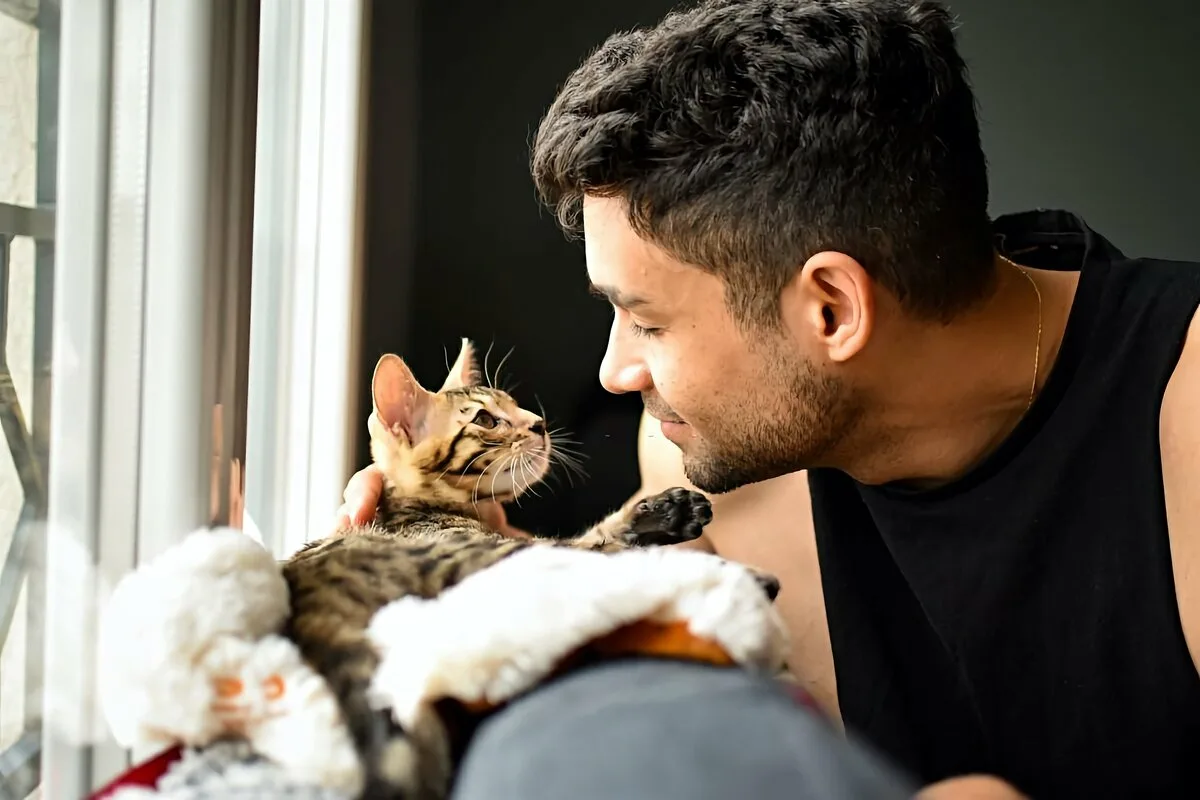 Laut Psychologn Hat Jemand, Der Katzen Mag, Die Folgenden Eigenschaften und Merkmale.