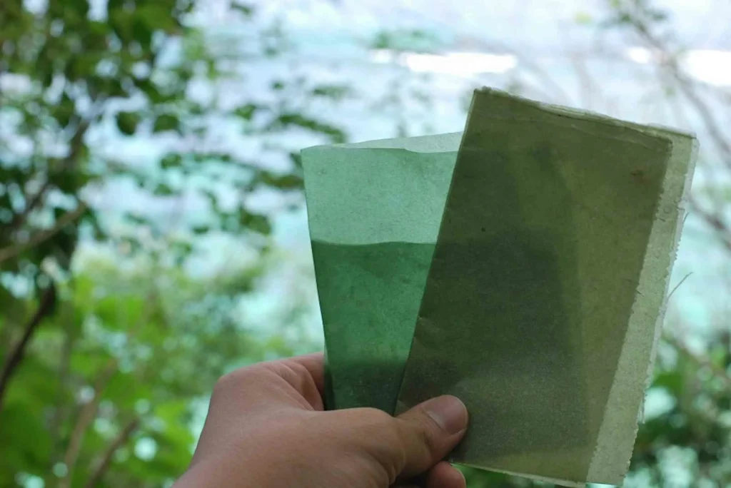 Inženjer Sveučilišta Houston razvija poboljšane, biorazgradive i višenamjenske lišće bakterijske celuloze koji u mnogim industrijama mogu zamijeniti plastiku.