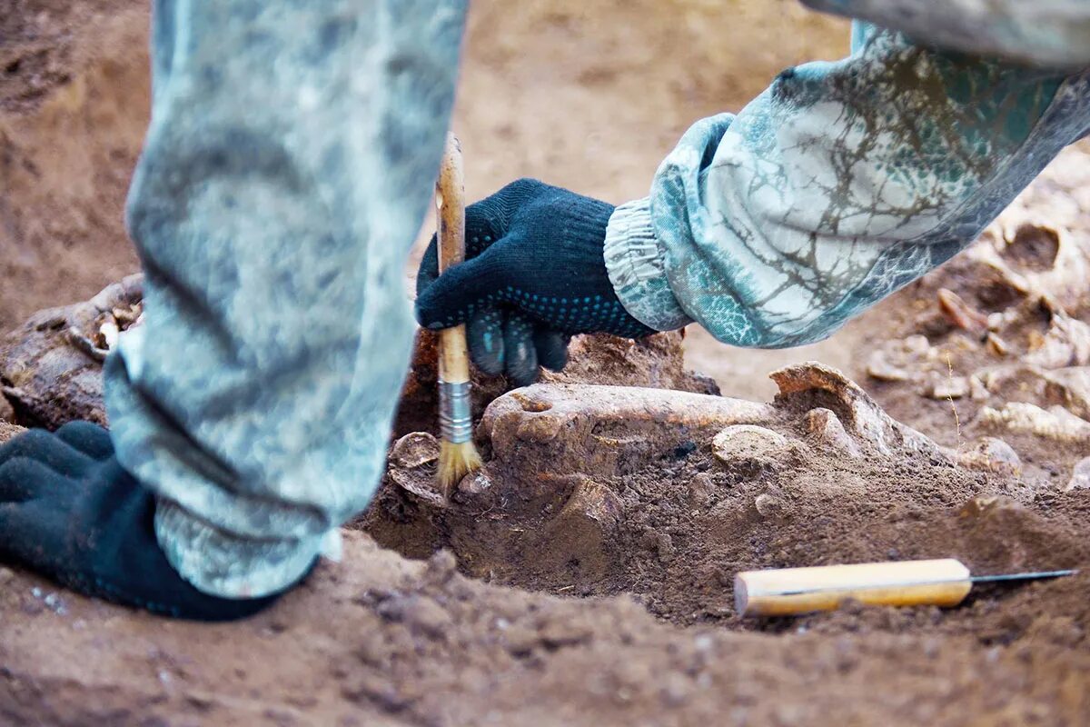 Pronalaženje u Africi koji prepisuje povijest čovjekove evolucije