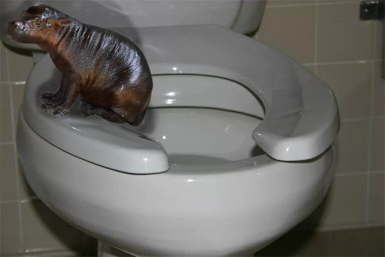WC sjedalo s prostorom ispred. Ovaj detalj u javnim toaletima nije slučajni.