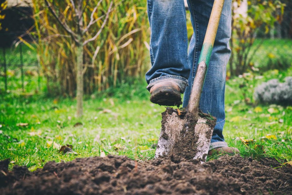 Srednjovjekovno blago u šumi. Bio skriven samo 20 cm ispod zemlje