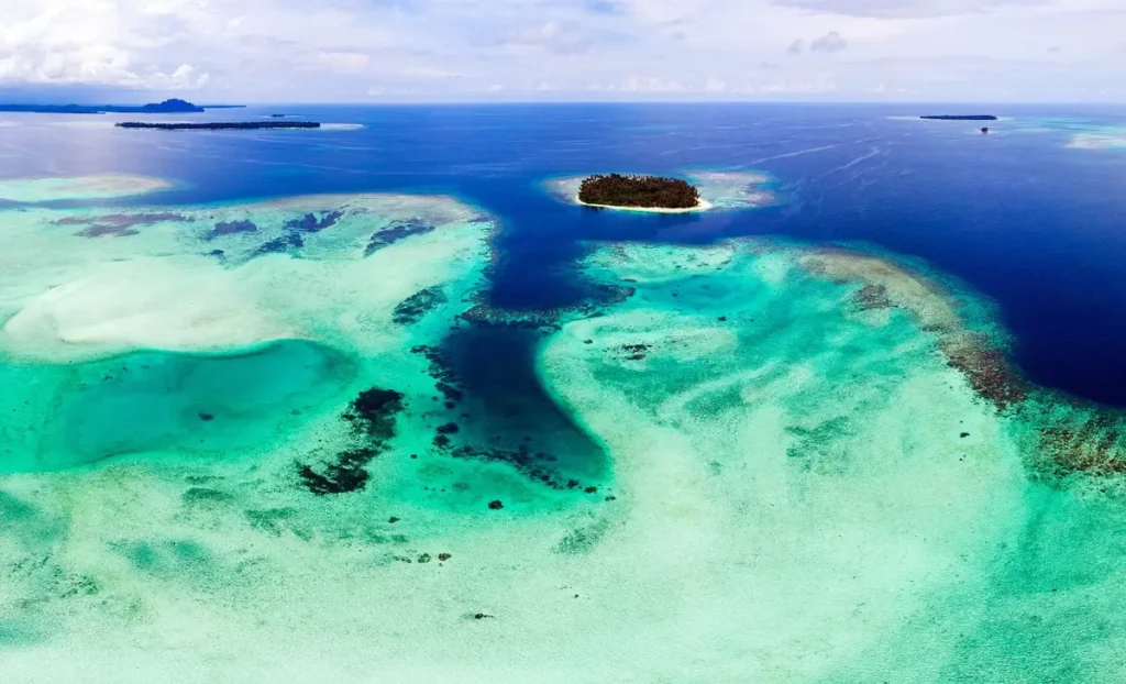 Oceanske vode mijenjaju boju i guraju morski život na stupove