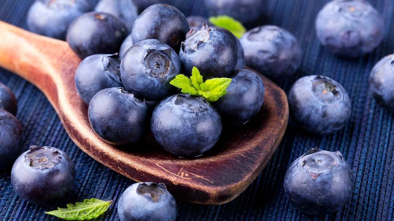 Borovnice i mozak. Kako ove bobice utječu na naše sjećanje?