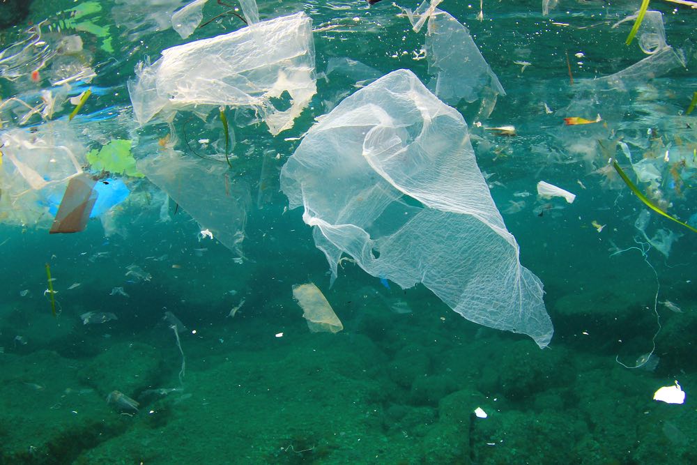 Nova studija pokazuje da zakoni koji zabranjuju upotrebu plastičnih vrećica smanjuju njihovu pojavu na obali za 47 %.