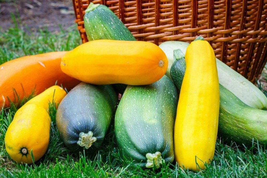 Izrezao sam tikvice i zamotao u foliju. Požalit ćete što prije niste znali ovaj recept