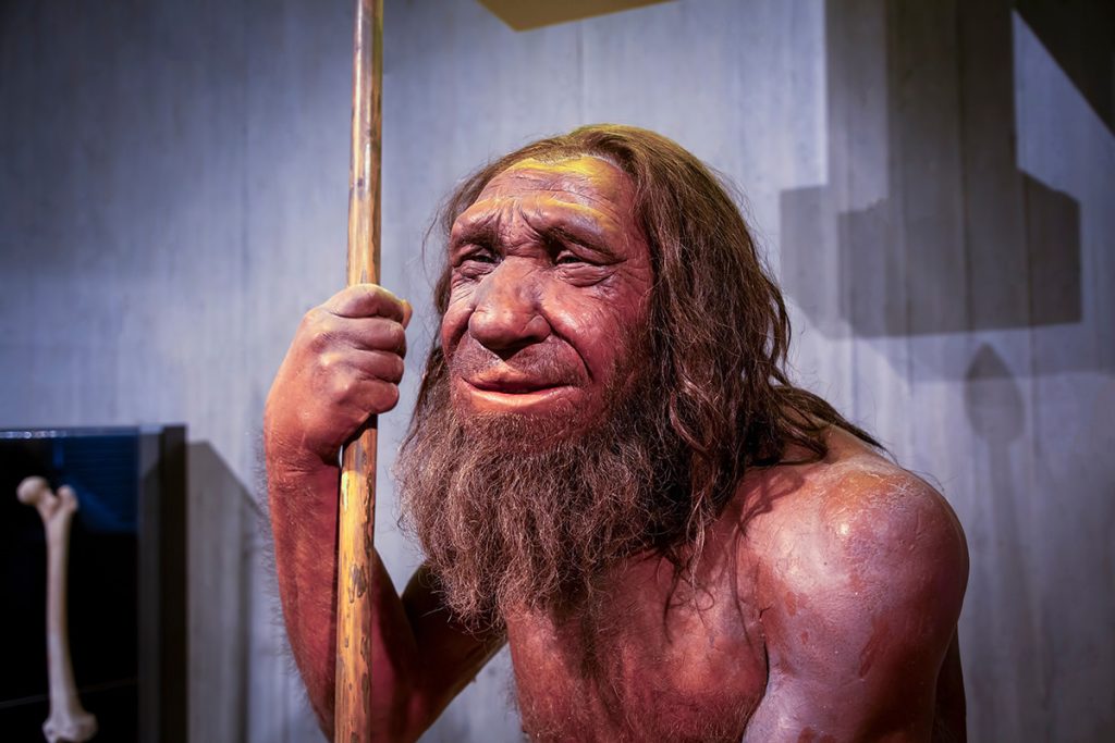 40 000 godina star DNA neandertalca vezana u miševe: iznenađujući rezultati
