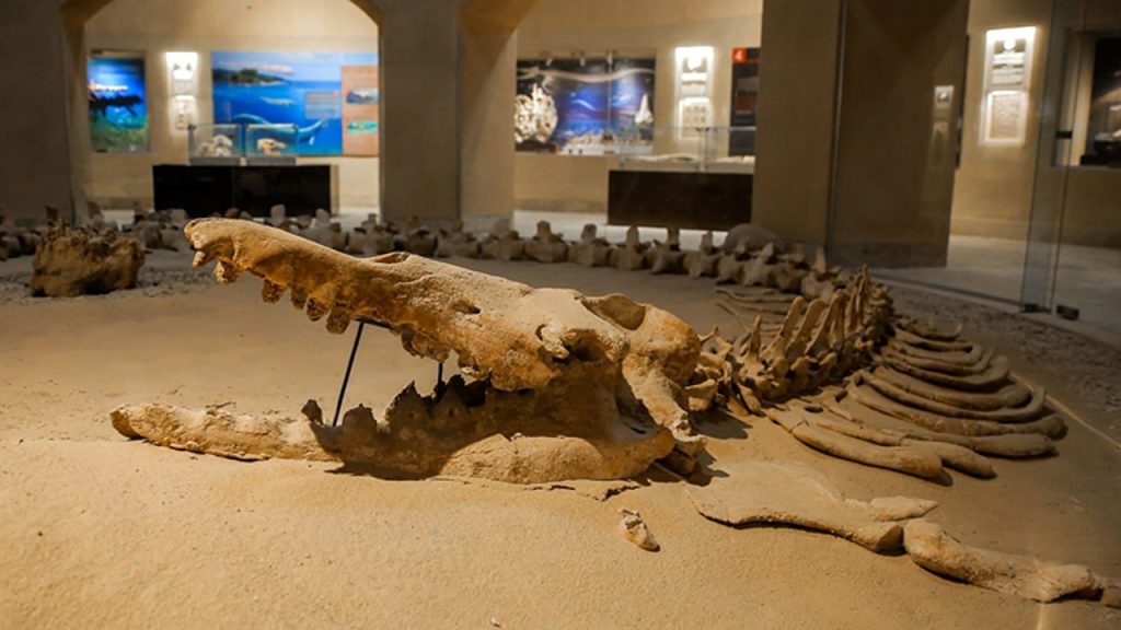 Nevjerojatni nalaz 400 Veseliba pod Piekom Sahara