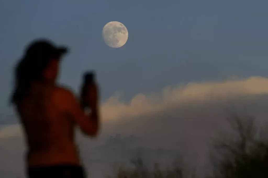 Mesika na mobilnom telefonu na fotografiji