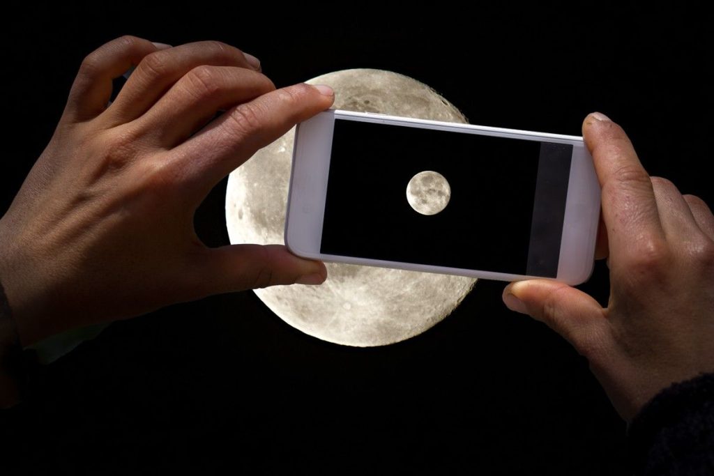 Mesika na mobilnom telefonu na fotografiji