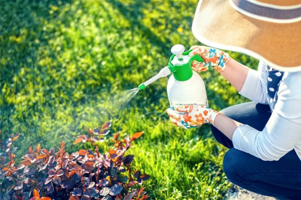 Ne odlažite vodikov peroksid – grijači su ga koristili u Záhrahou na zdravlju rastlína