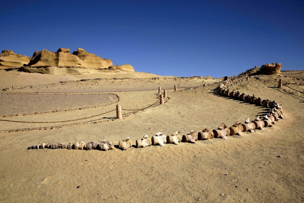 Nevjerojatni nalaz 400 Veseliba pod Piekom Sahara